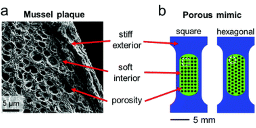 Engineering crack tortuosity in printed polymer-polymer composites through ordered pores