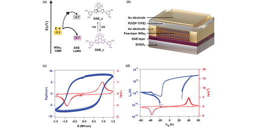 Ternary-Responsive Field-Effect Transistors and Multilevel Memories Based on Asymmetrically Functionalized Janus Few-Layer WSe2