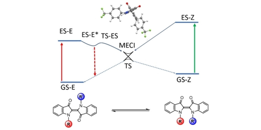 Mechanistic Insights into the Photoisomerization of N,N'-disubstituted Indigos