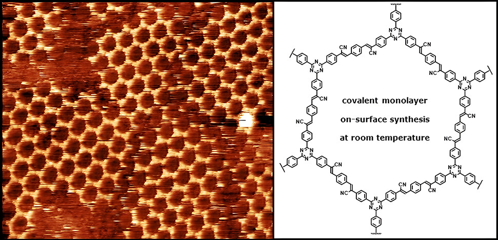 Room Temperature On-Surface Synthesis of a Vinylene-Linked Single Layer Covalent Organic Framework