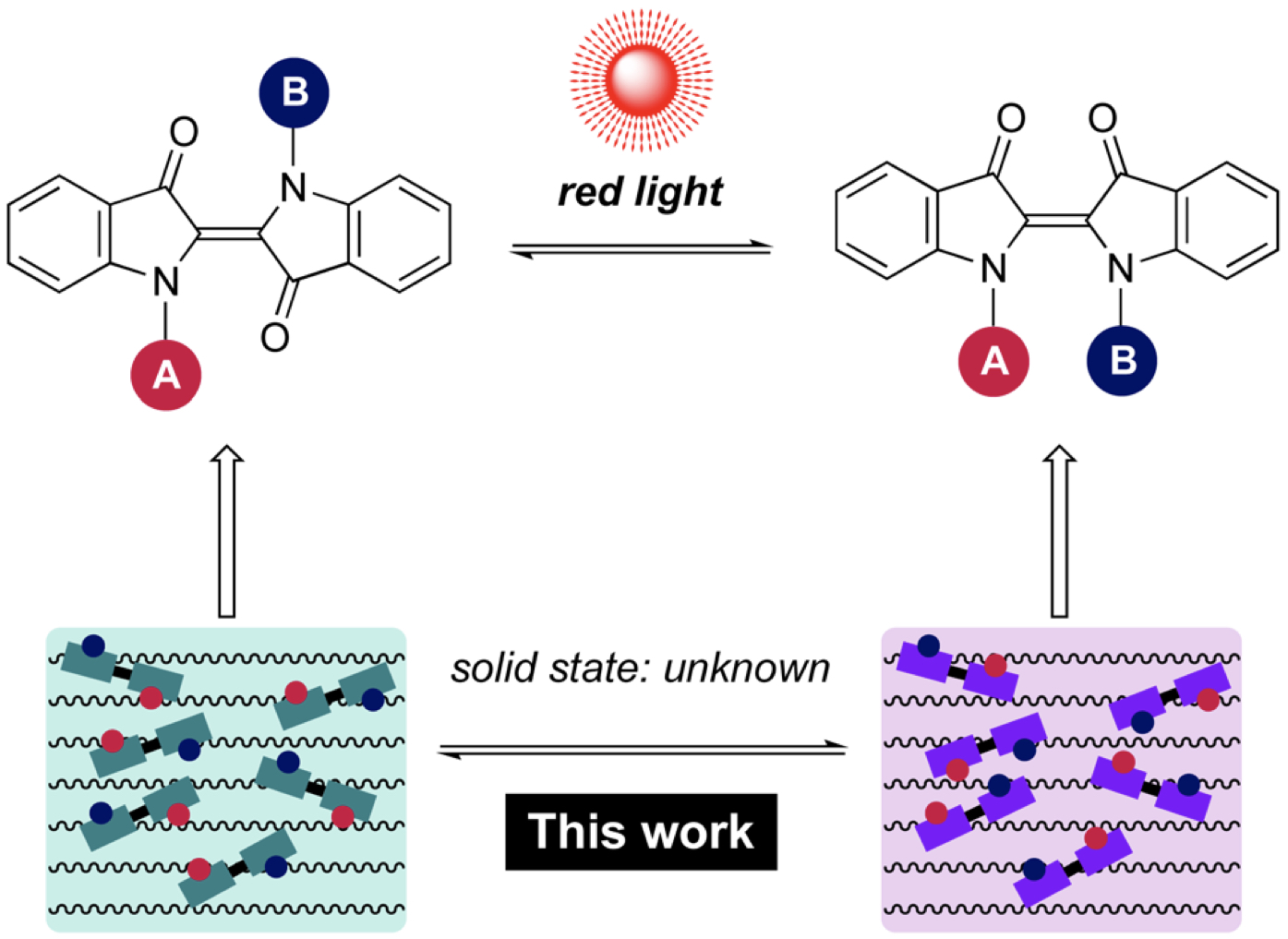Red-light photoswitching of indigos in polymer thin films