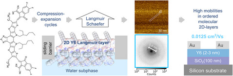 Quasi-2D Morphologies of a Non-Fullerene Acceptor Y6 by Interfacial Assembly via Langmuir–Schaefer Technique