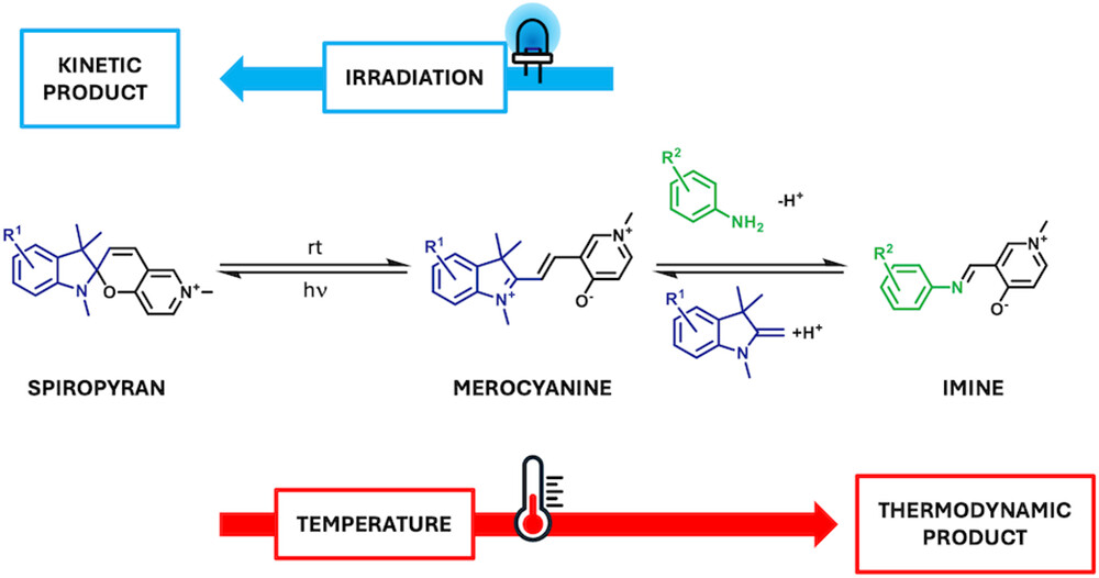 Shifting Merocyanine-Imine Exchange with Visible Light