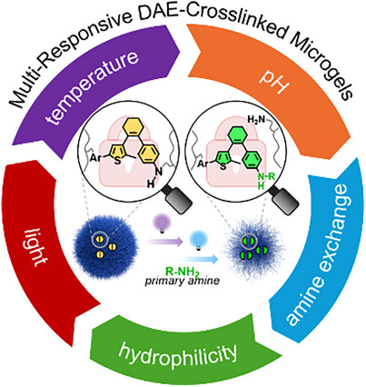 Light-Gated Amine Exchange in Diarylethene-Crosslinked Microgels