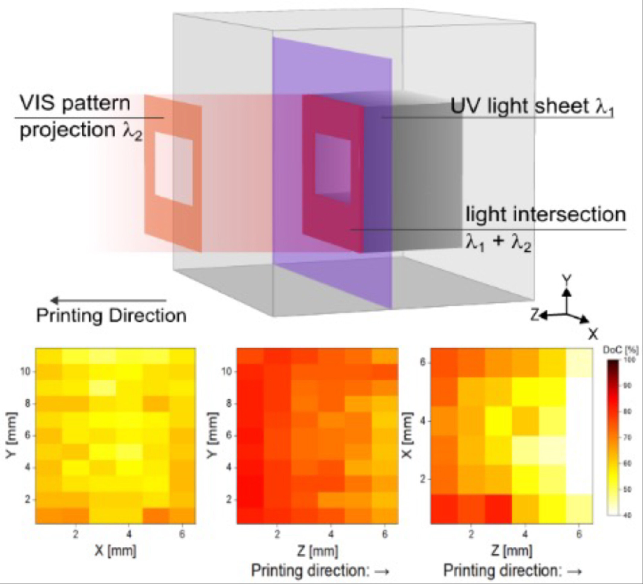 Quantifying Dual-Color Photopolymerization in Xolography via Raman Spectroscopy
