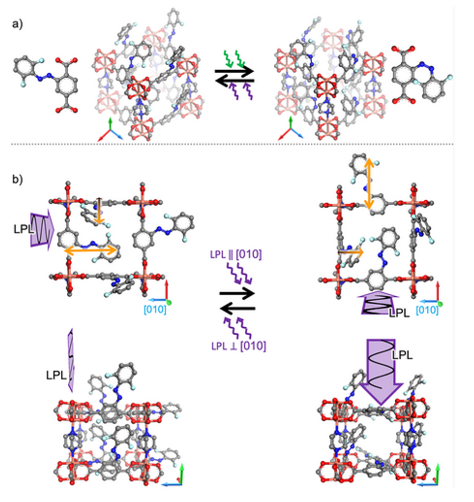 Directing the Mobility of Guest Molecules in Nanoporous Materials by Linearly Polarized Light