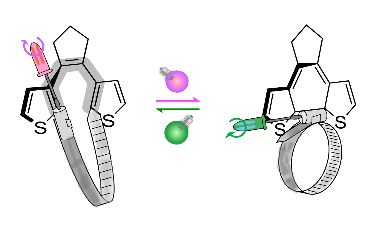 Light-Driven Reversible Ring Contraction and Expansion to Modulate Strain, Conformation, and Reactivity