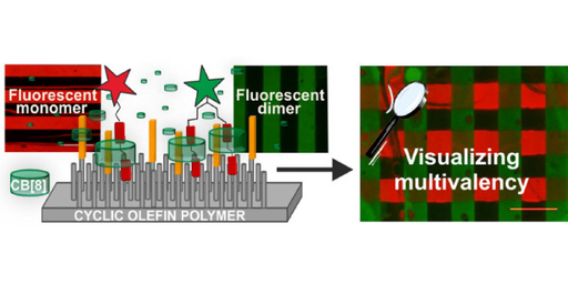 Multivalency in Heteroternary Surfaces: Self-assembly, Patterning, and Exchange Processes