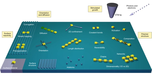 Covalent on-surface polymerization