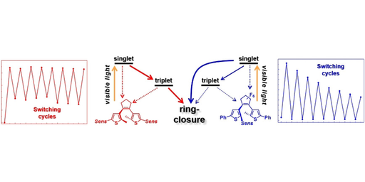 Mechanistic Insights into the Triplet Sensitized Photochromism of Diarylethenes