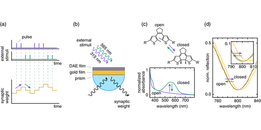 Using Active Surface Plasmons in a Multi-Bit Optical Storage Device to Emulate Long-term Synaptic Plasticity