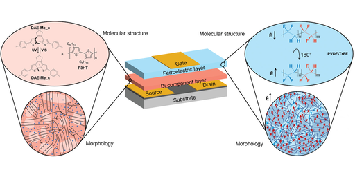 Multiresponsive Non-Volatile Memories based on Optically Switchable Ferroelectric Organic Field-effect Transistors