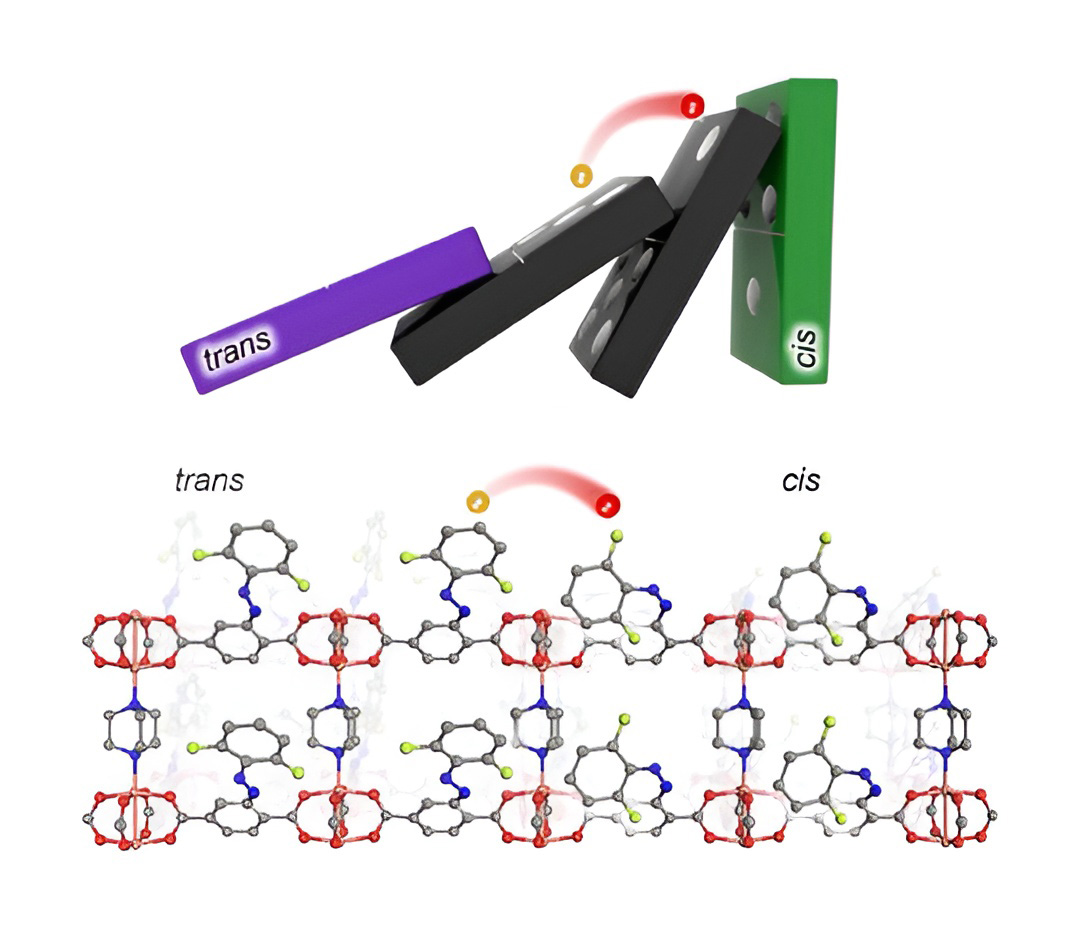 Molecular Domino Toppling for Directed Self-Erasing Information Transfer