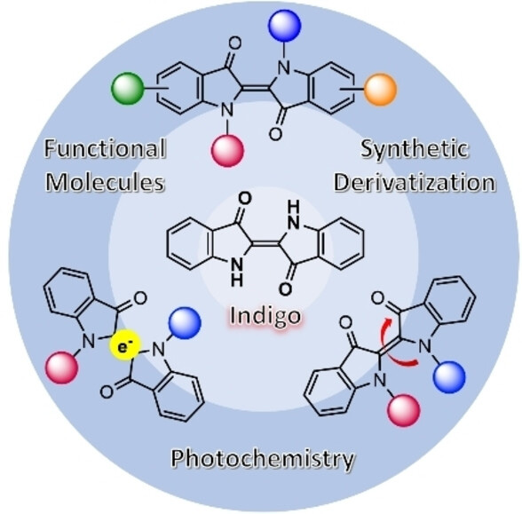 A Blueprint for Transforming Indigos to Photoresponsive Molecular Tools